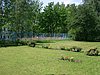 Das Wiesengrundstück Das Wiesengrundstück