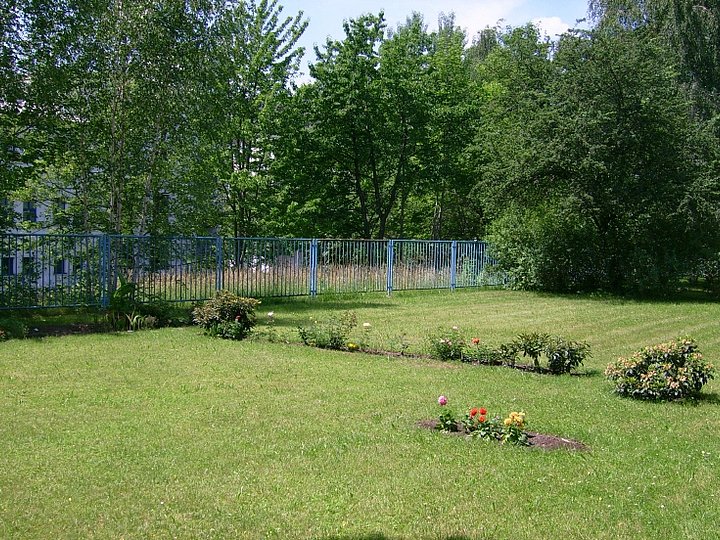 Das Wiesengrundstück Das Wiesengrundstück