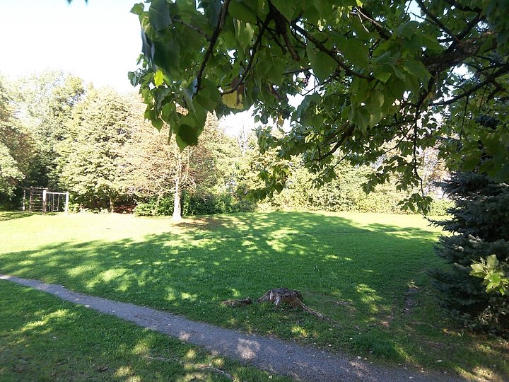 Garten Garten